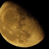 DSCF8008-1