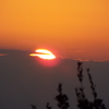 DSCF8057