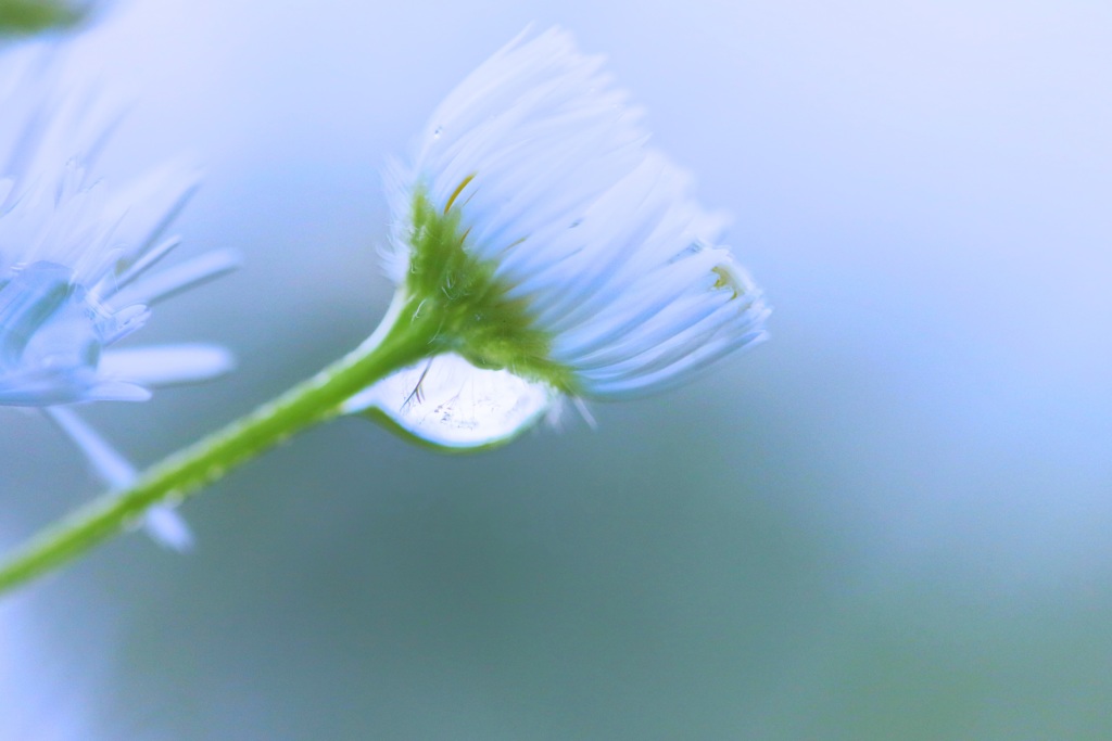 雨上がりの空…