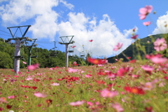 秋の気配…