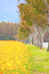 花の都公園にて…