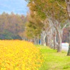 花の都公園にて…