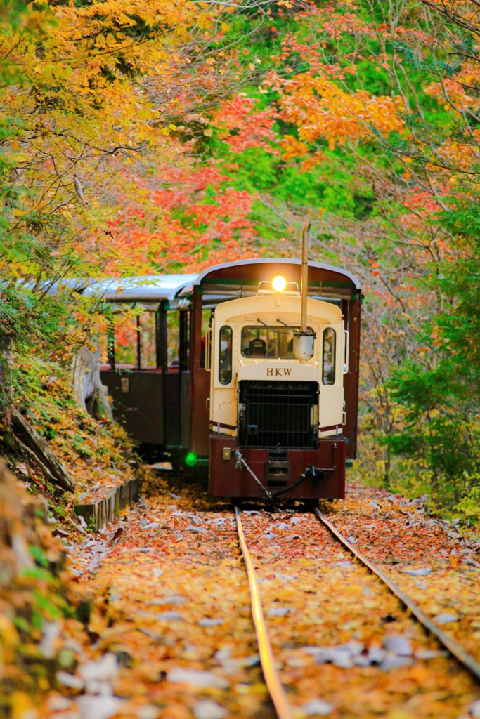 赤沢森林鉄道