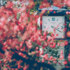 15:20