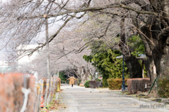 春を待つ