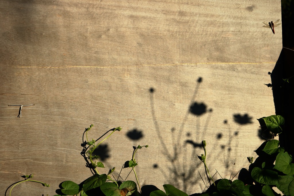 Canvas board