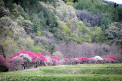 甘そうな風景