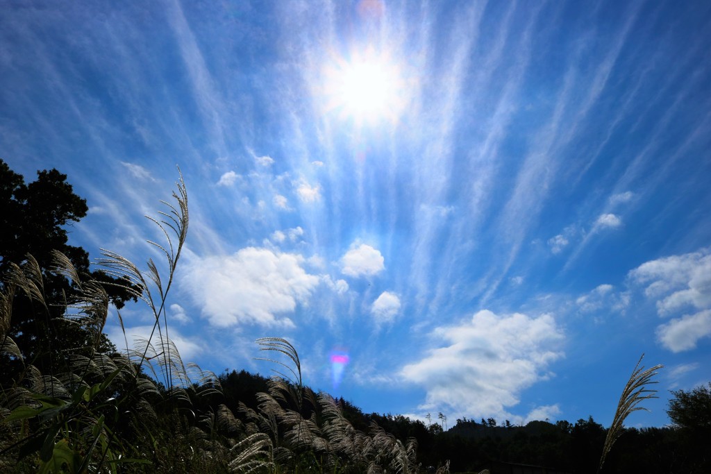 流雲