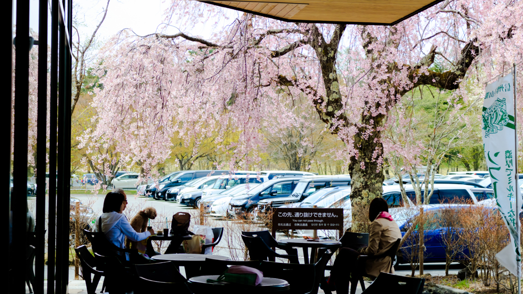 カフェ桜テラス