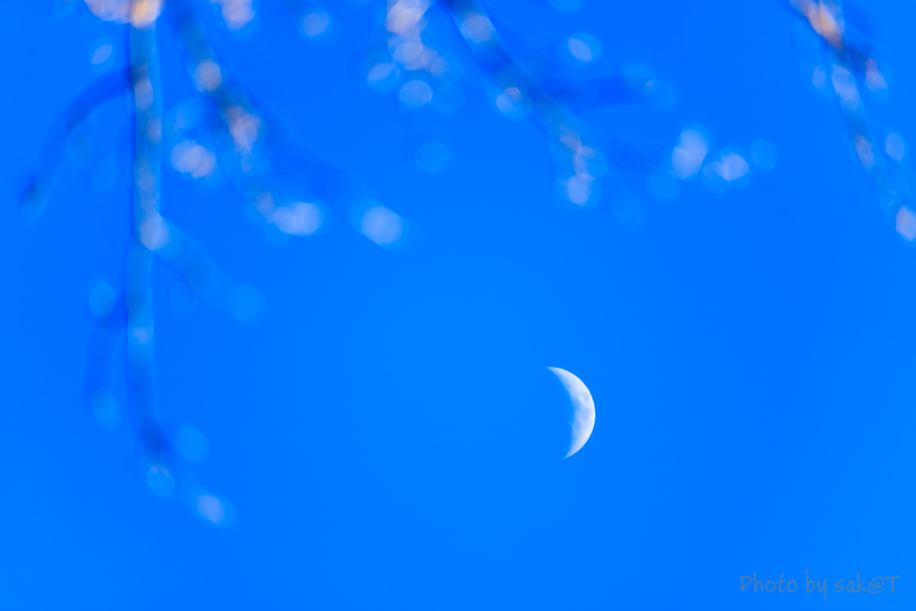 空と月と