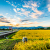 秋の夕暮れ