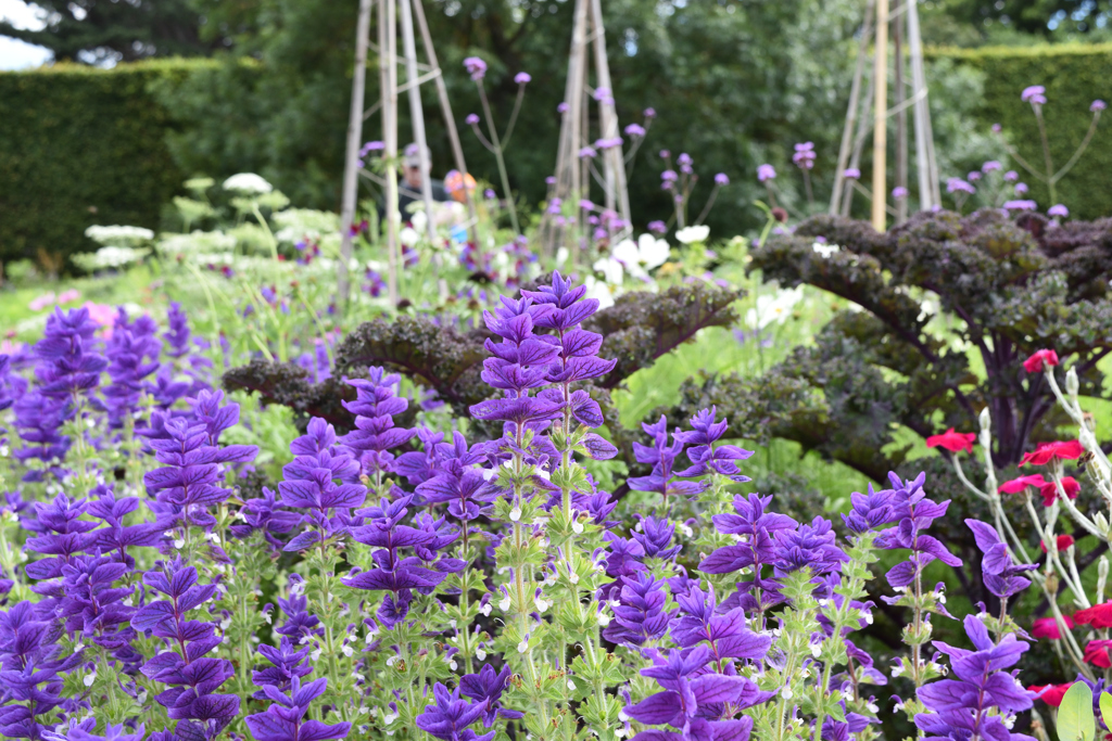 エジンバラ観光010