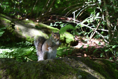 エジンバラ観光006