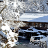 雪の大沢温泉3
