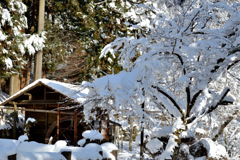 雪の大沢温泉2