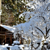 雪の大沢温泉2