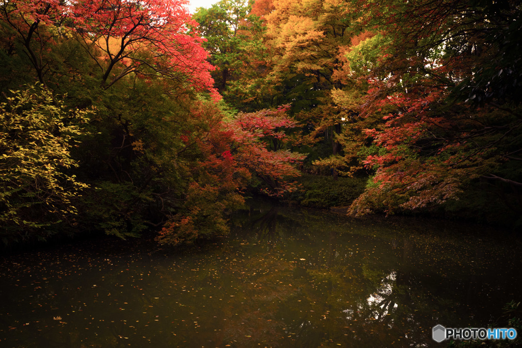 六義園