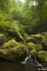 都内某所
