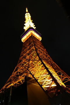 The　TOKYO
