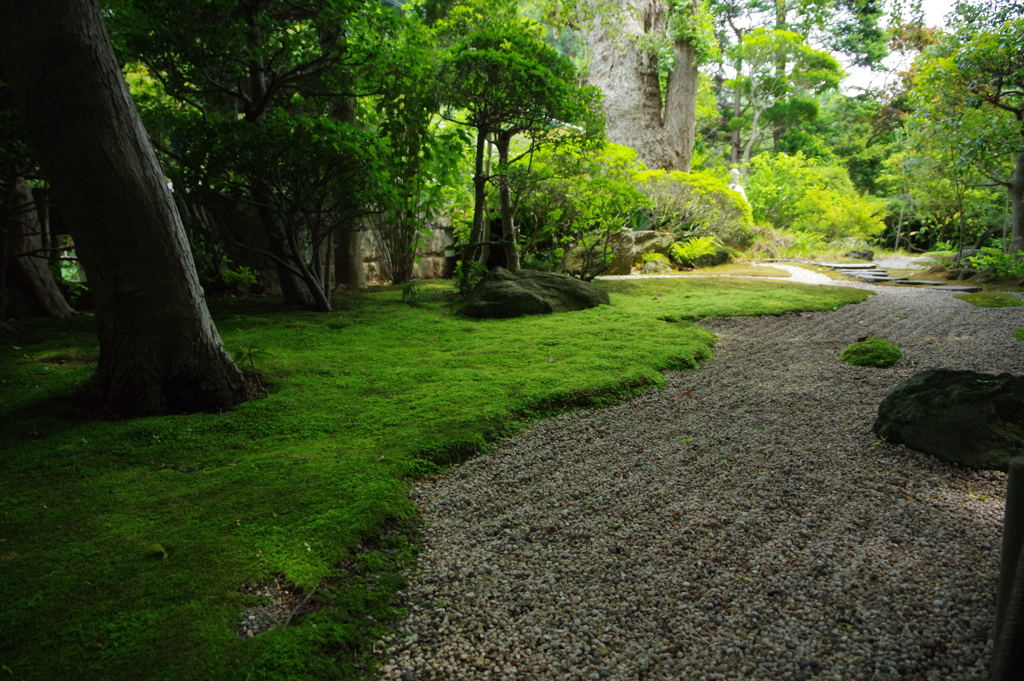 鎌倉 報国寺