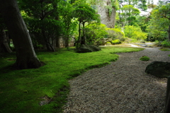 鎌倉 報国寺
