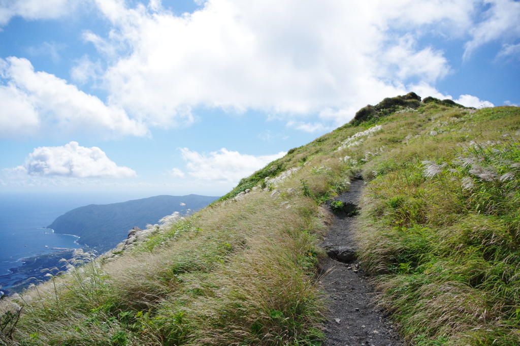 山頂を目指す