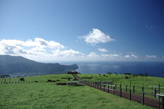 八丈島ふれあい牧場