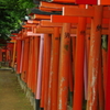 根津神社