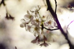 IMGP0048