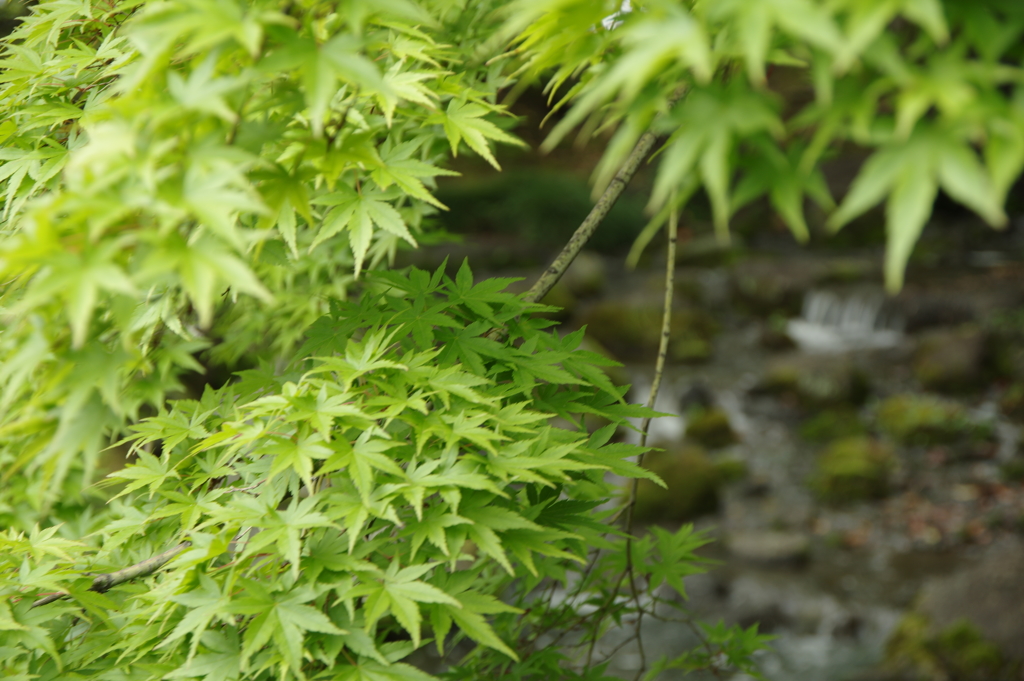 5月
