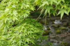 5月