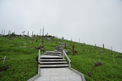 大台ケ原