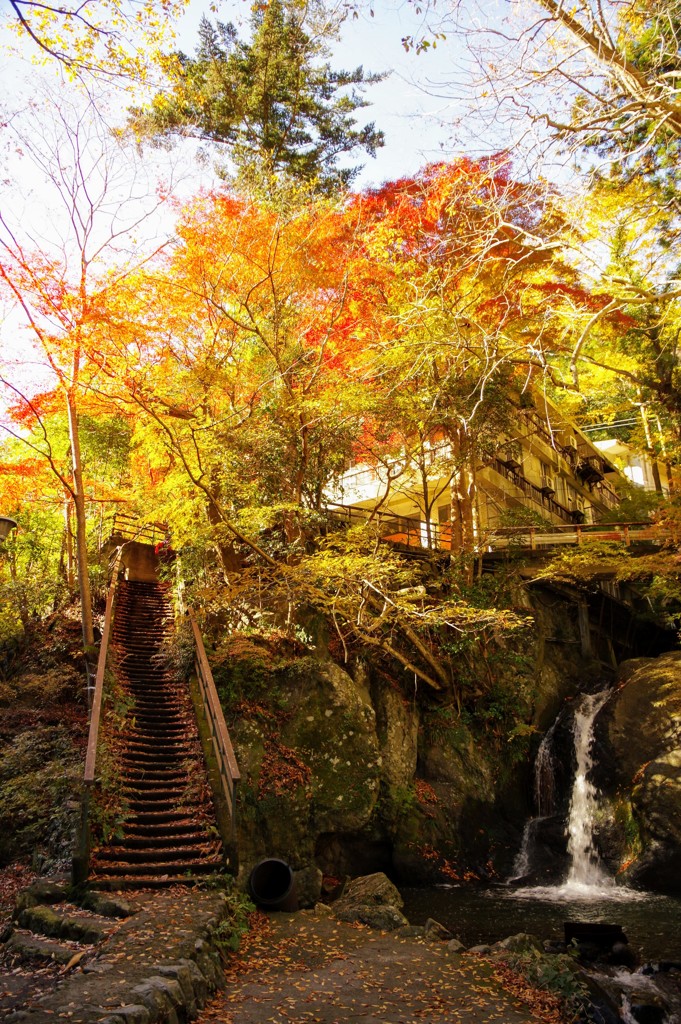 紅葉狩り