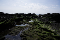 城ヶ島