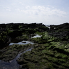 城ヶ島