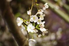 IMGP0044