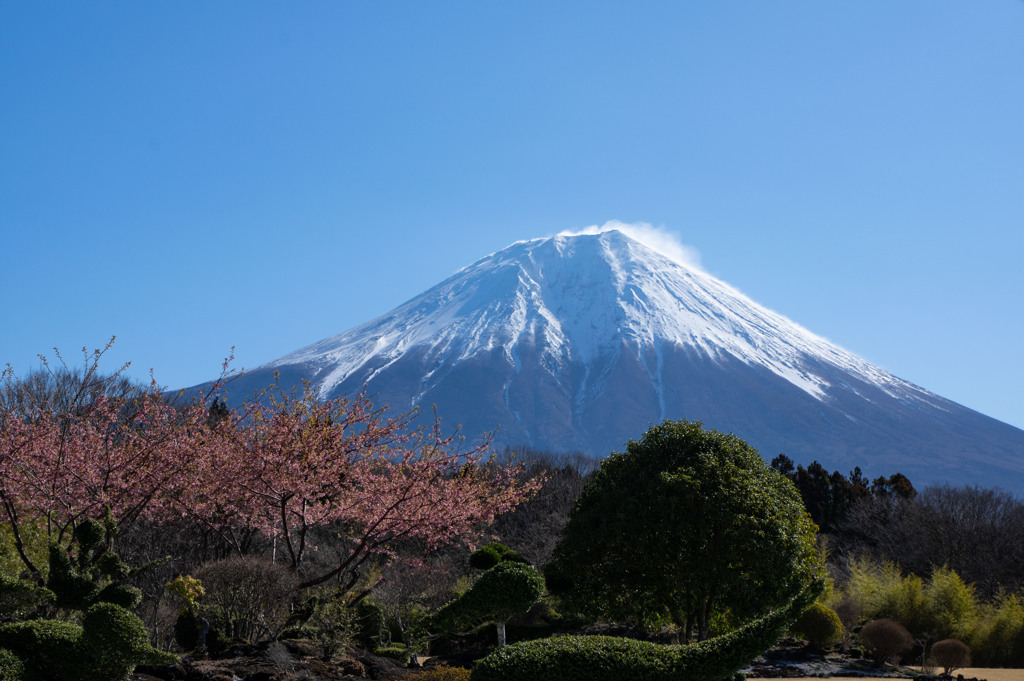 富士宮からの富士山