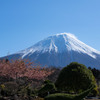 富士宮からの富士山