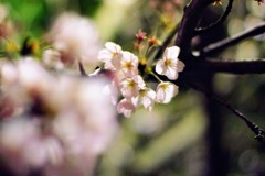 IMGP0024