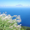 すすきと太平洋