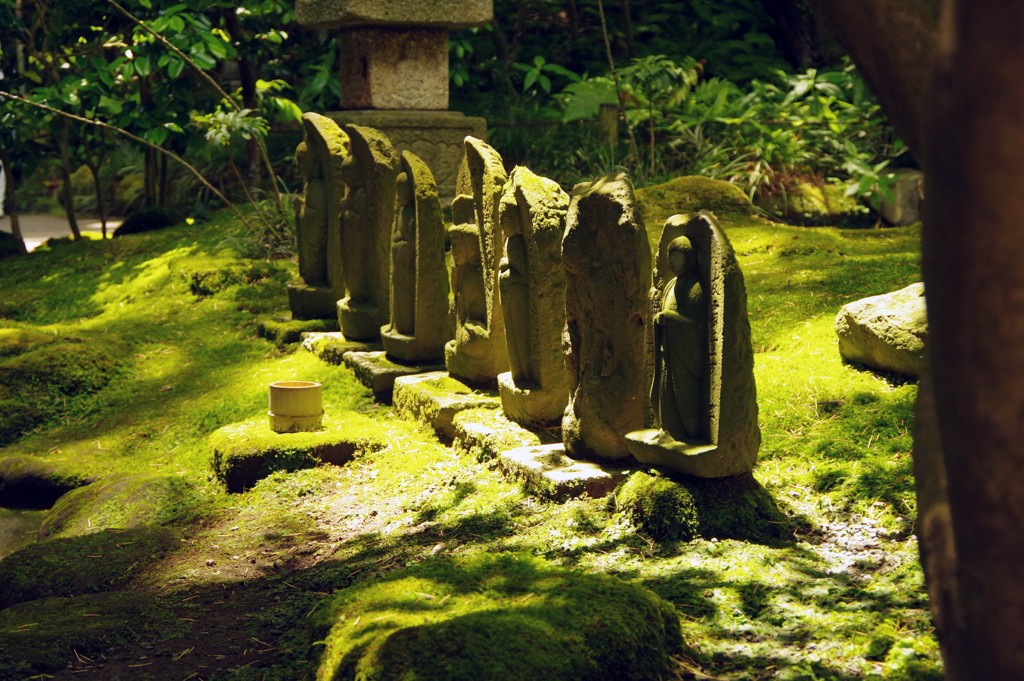 鎌倉 報国寺