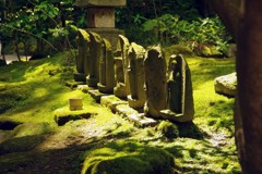 鎌倉 報国寺