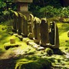 鎌倉 報国寺