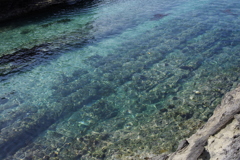 澄んだ海