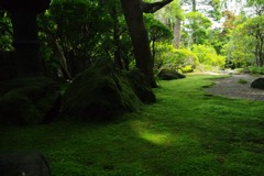 鎌倉 報国寺