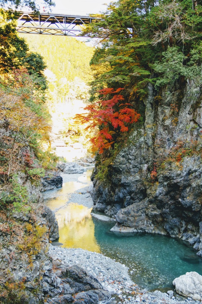 紅葉狩り