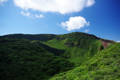 深い緑、鮮やかな緑と深い青に癒やされる