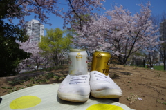 花見散歩