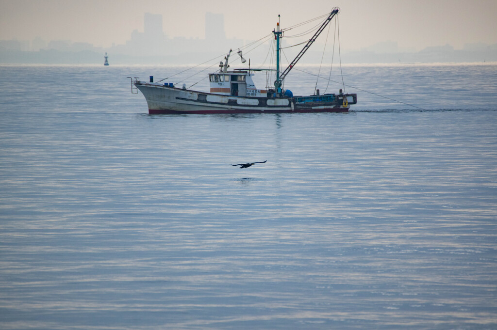 朝散歩、凪と鳥と船