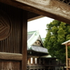 帝釈天 南門から